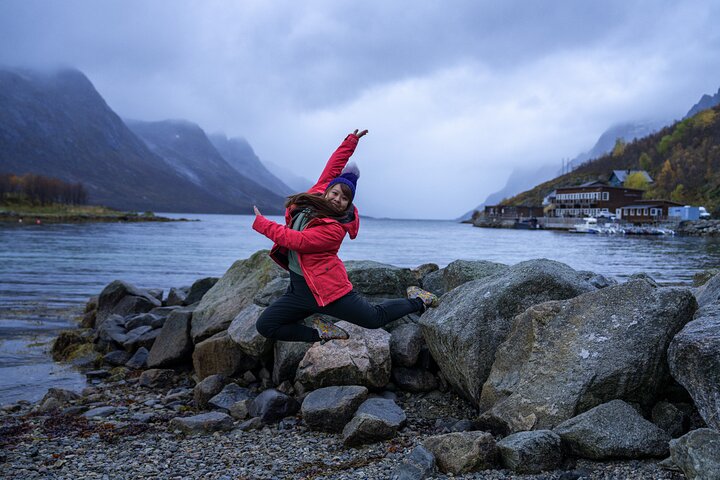 Tromsø: Big Bus Fjord Tour with free photos and wildlife
