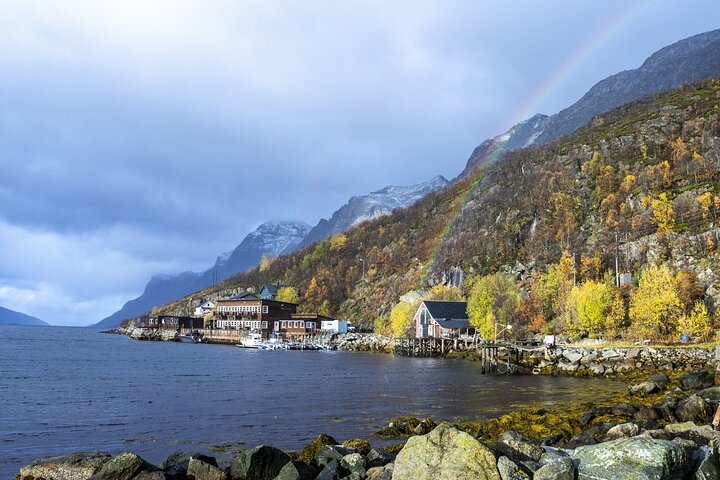 Tromsø: Big Bus Fjord Tour with free photos and wildlife