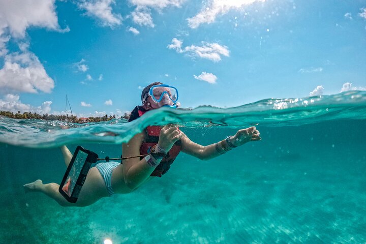 Half-Day Sea Turtle and Cenote Snorkeling Tour from Cancun & Riviera Maya