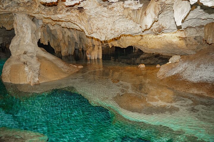 Half-Day Sea Turtle and Cenote Snorkeling Tour from Cancun & Riviera Maya