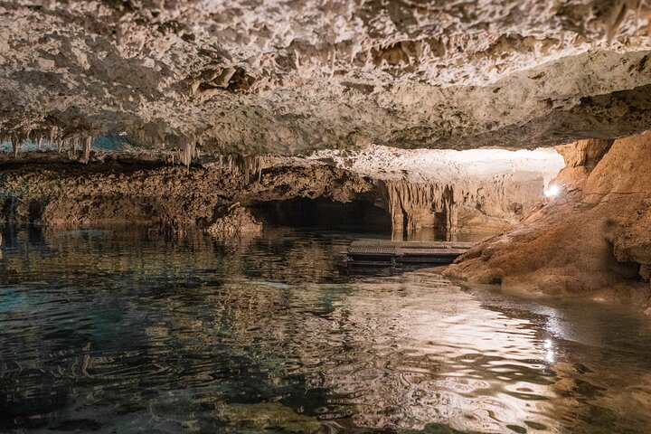 Half-Day Sea Turtle and Cenote Snorkeling Tour from Cancun & Riviera Maya