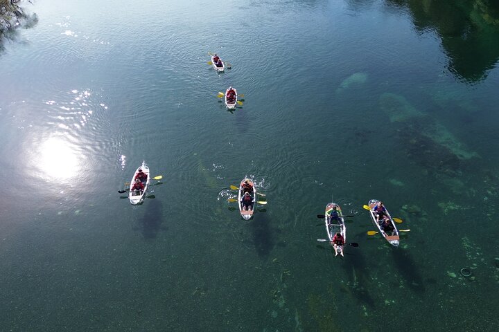 2-Hour Waikato River Guided Kayak Trip from Taupo