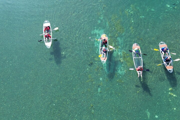 2-Hour Waikato River Guided Kayak Trip from Taupo