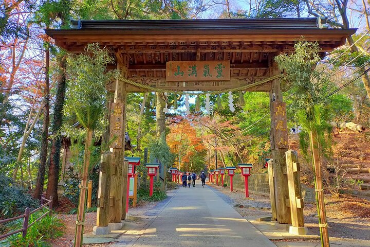 Full Day Hiking Tour at Mt.Takao including Hot Spring