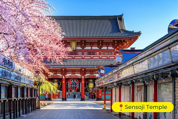 Tokyo Private Tour by Car with English-Speaking Driver (Premium)