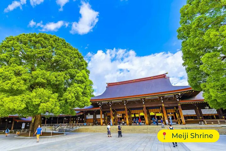 Tokyo Private Tour by Car with English-Speaking Driver (Premium)