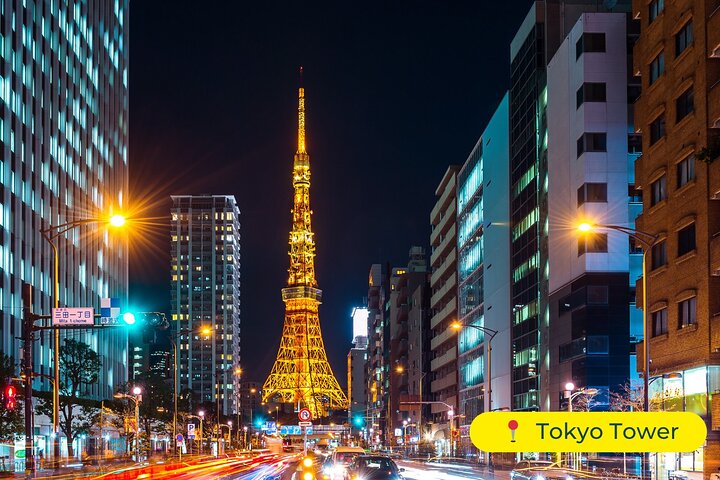 Tokyo Private Tour by Car with English-Speaking Driver (Premium)