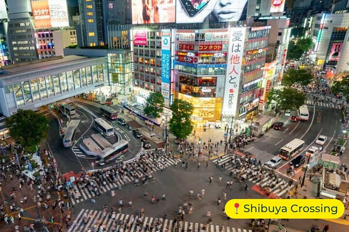 Tokyo Private Tour by Car with English-Speaking Driver (Premium)