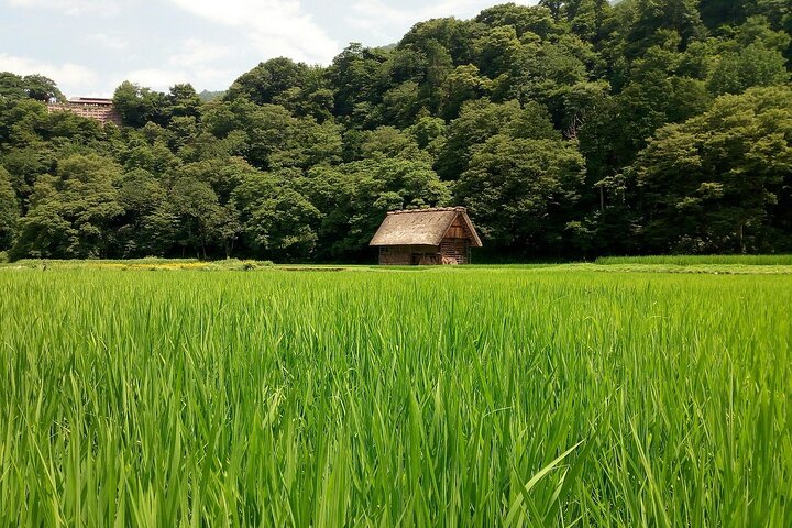 Shirakawago & Kanazawa from Kyoto by bullet train