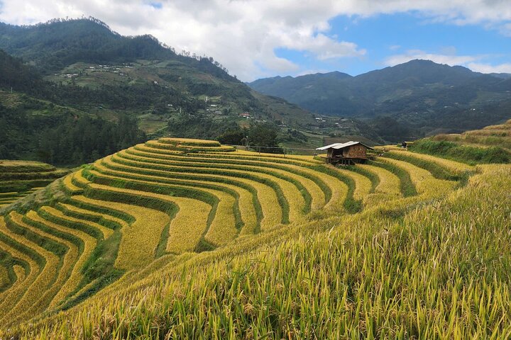 Mu Cang Chai Private Full-Day Car Tour with Local Hmong Guide