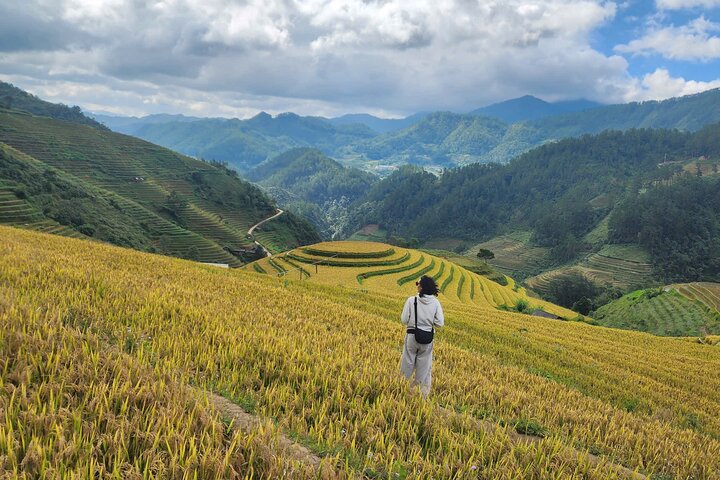 Mu Cang Chai Private Full-Day Car Tour with Local Hmong Guide