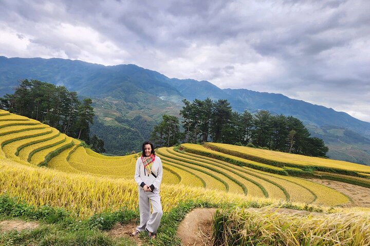 Mu Cang Chai Private Full-Day Car Tour with Local Hmong Guide
