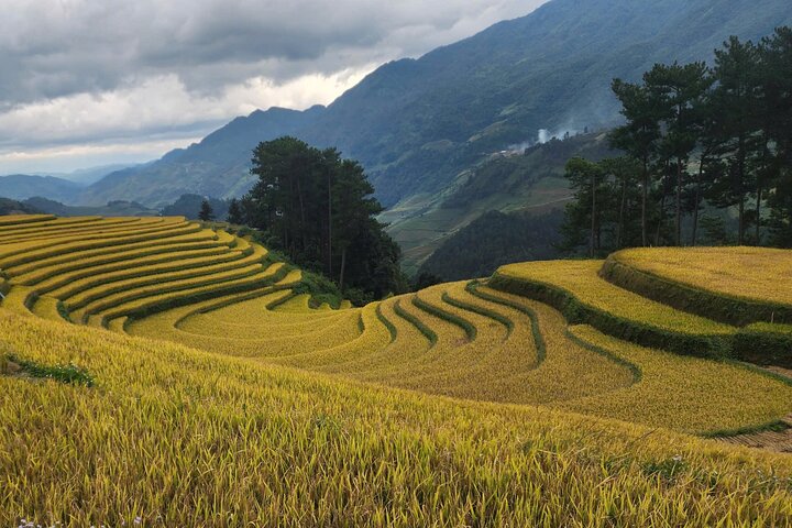 Mu Cang Chai Private Full-Day Car Tour with Local Hmong Guide