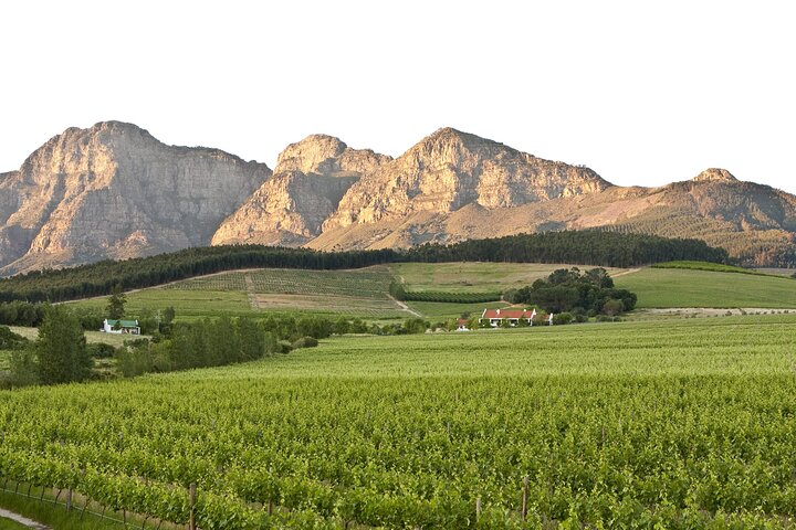 Full Day Stellenbosch & Franschhoek Wine Tram Tour
