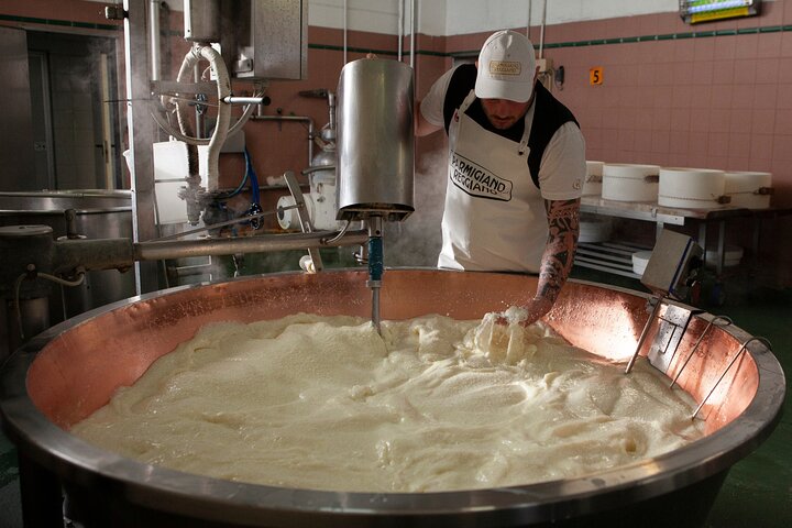 Parmesan Cheese Tour and Tasting in Modena