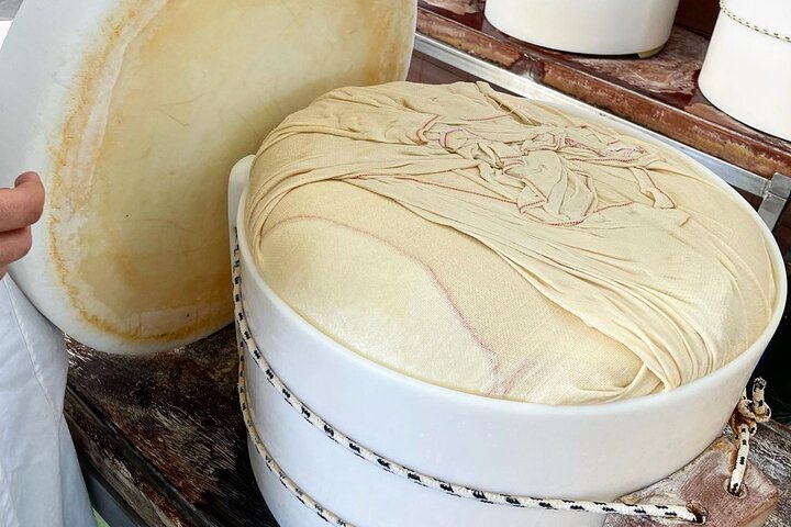 Parmesan Cheese Tour and Tasting in Modena
