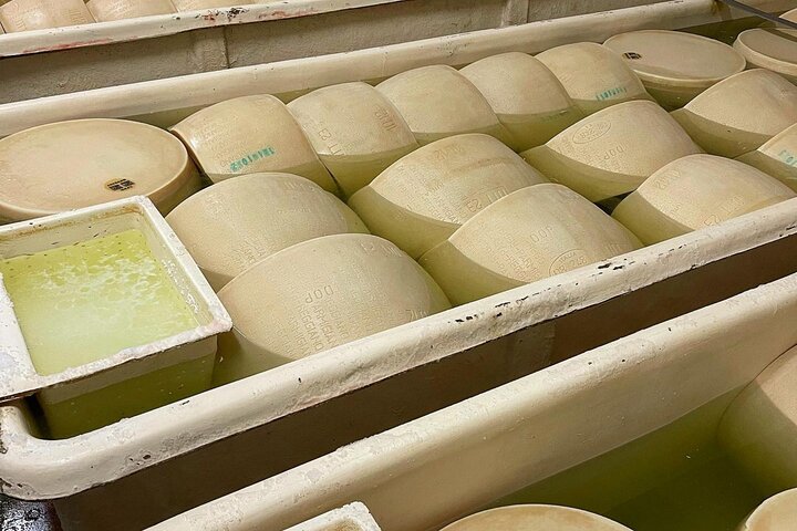 Parmesan Cheese Tour and Tasting in Modena