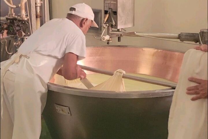 Parmesan Cheese Tour and Tasting in Modena