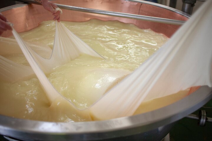 Parmesan Cheese Tour and Tasting in Modena