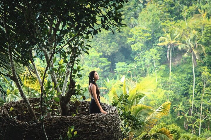 Ubud Private Tour: Waterfalls, Temple and Rice Terraces Swing