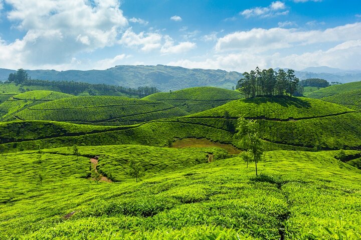 4 Days Best of Kerala Tour with Private Houseboat, Sightseeing & Car