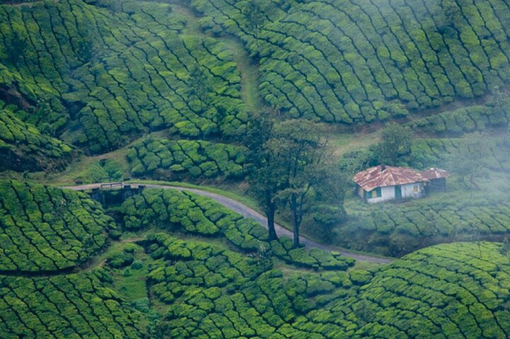 4 Days Best of Kerala Tour with Private Houseboat, Sightseeing & Car