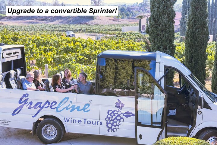 All Inclusive Temecula Wine Tour - Tastings, Lunch, Hotel Pickup