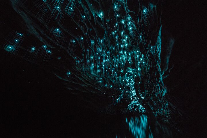 Auckland to Waitomo Glowworms, Kiwi House & Blue Springs Day Tour