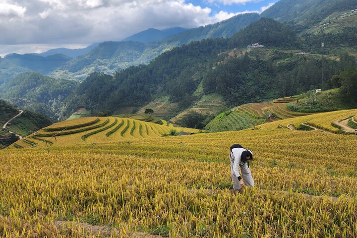 3 Days Trekking Mu Cang Chai Hidden Trails