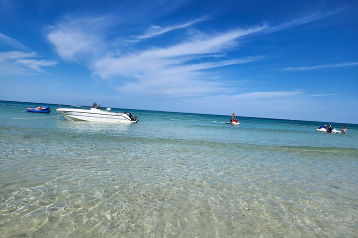 1h30 Sea Trip with Swimming and Dolphin Watching