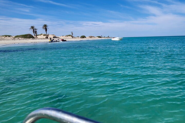1h30 Sea Trip with Swimming and Dolphin Watching