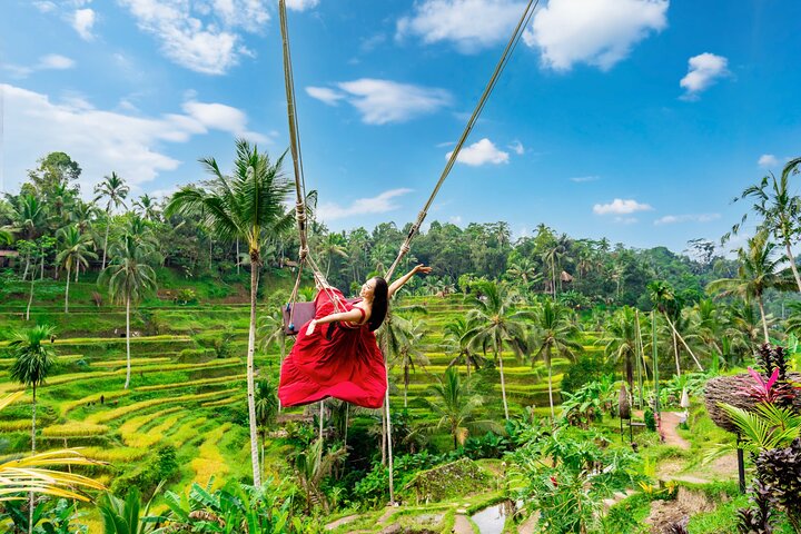 Ubud Private Tour: Waterfalls, Temple and Rice Terraces Swing