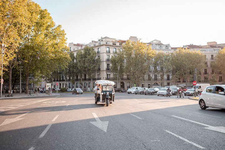 Tour Welcome Madrid in Eco Tuk Tuk Private with Local Guide