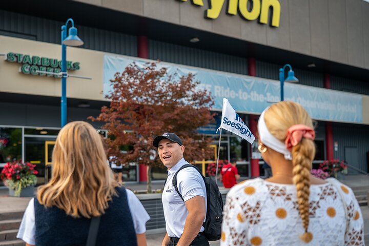 Niagara Falls Tour: Boat Cruise, Journey Behind Falls and Skylon