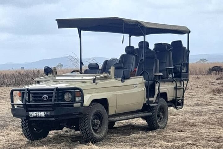 3 Days 2 Night Safari in Mikumi.