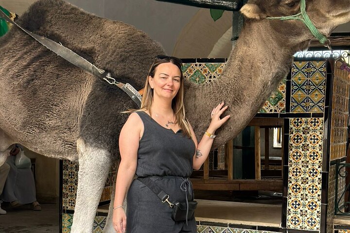 Private Luxury Tour: Kairouan, El Jem & Monastir or Sousse