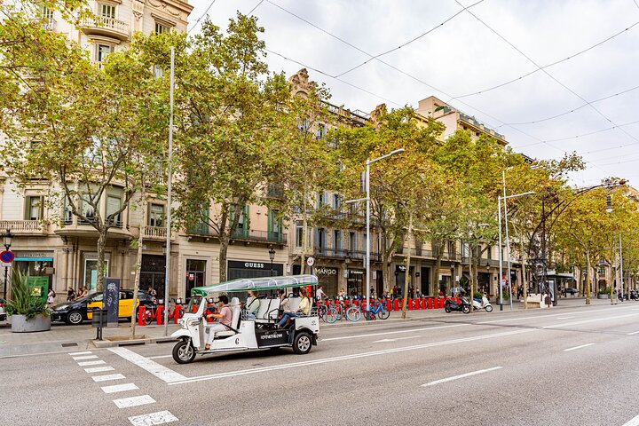 Tour Welcome to Barcelona in Eco Tuk Tuk Private with Local Guide