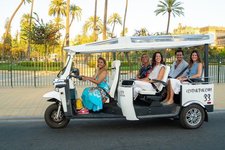 Tour Welcome to Seville in Eco Tuk Tuk Private with Local Guide