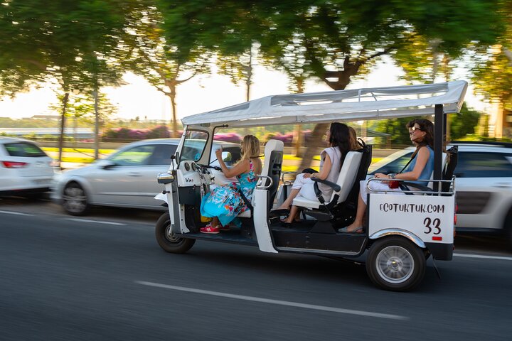 Tour Welcome to Seville in Eco Tuk Tuk Private with Local Guide