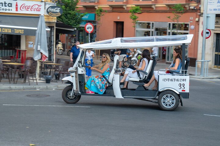 Tour Welcome to Seville in Eco Tuk Tuk Private with Local Guide