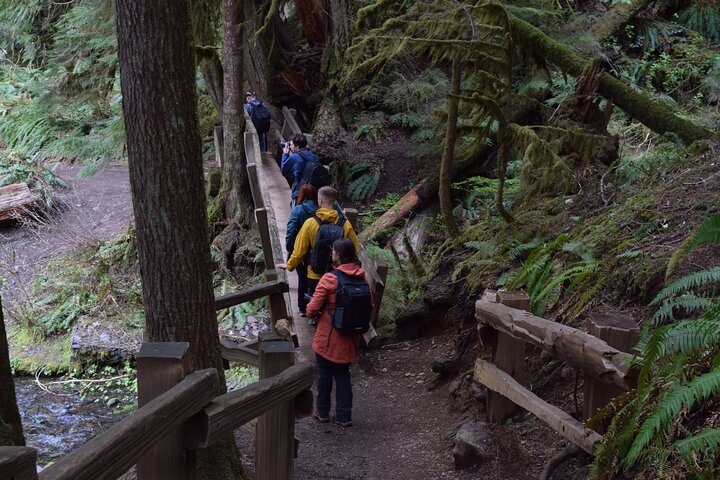 Half Day Guided Tour of Olympic National Park