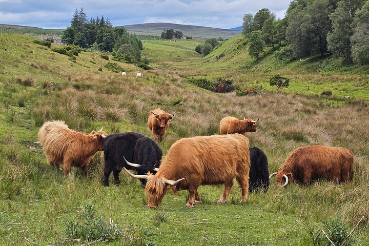Travel The Great Glen to Glencoe [Harry Potter Trail]