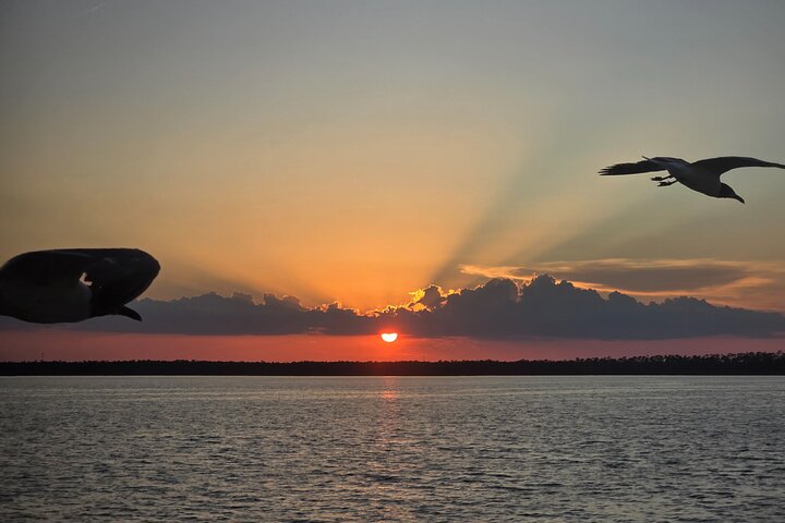 Sunny Lady Dolphin and Sunset Cruises Orange Beach Alabama