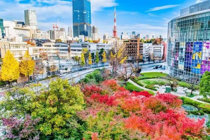 Private and Customisable Tokyo Tour with English-Speaking Driver