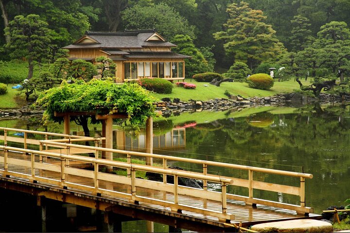 Private and Customisable Tokyo Tour with English-Speaking Driver