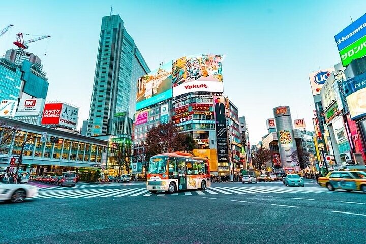 Private and Customisable Tokyo Tour with English-Speaking Driver