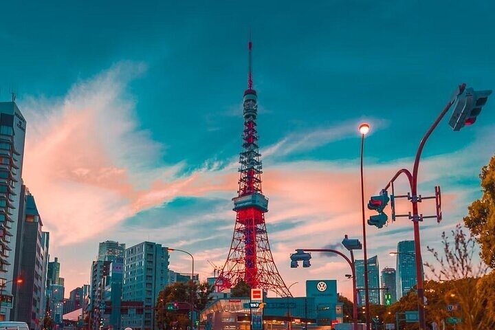 Private and Customisable Tokyo Tour with English-Speaking Driver