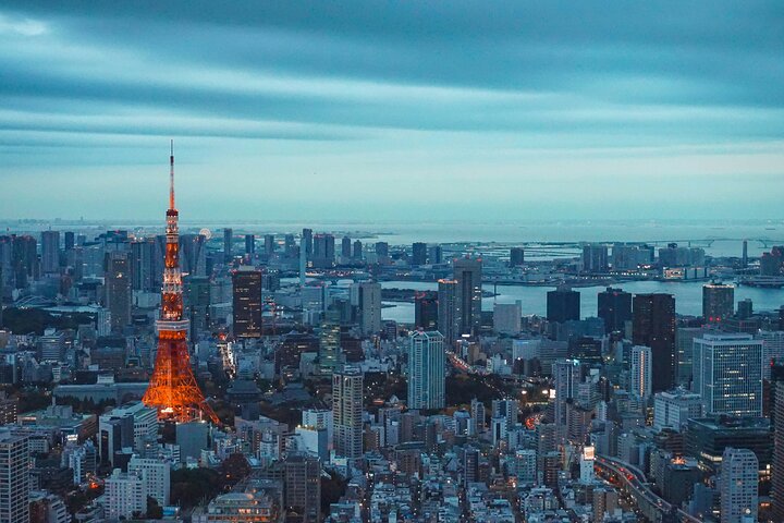 Private and Customisable Tokyo Tour with English-Speaking Driver