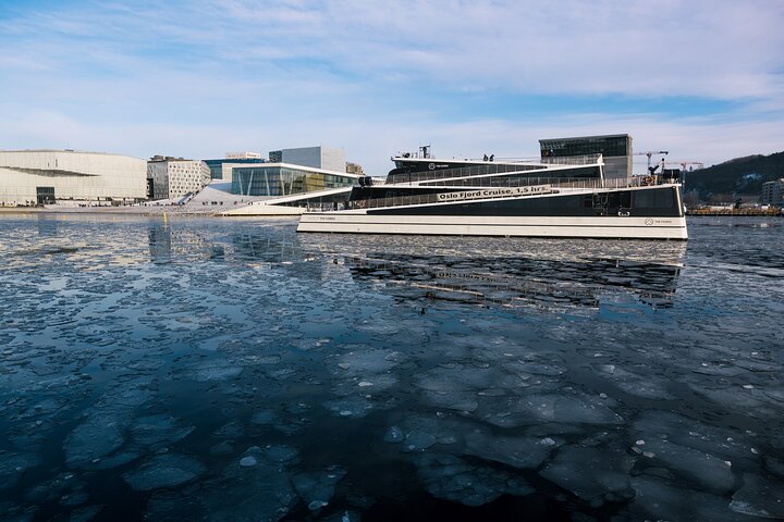 Sustainable Cruise in Oslofjord with audioguiding