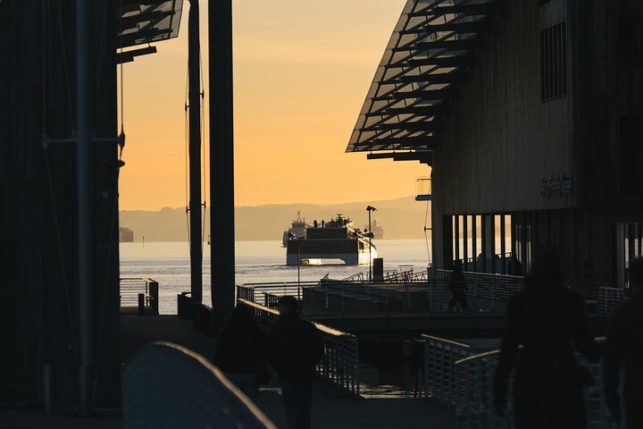 Sustainable Cruise in Oslofjord with audioguiding